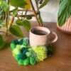 Grassy Garden - Moss Coaster Kit