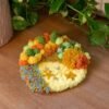 PUMPKIN PATCH - Moss Coaster Kit-Creative Birthday Gifts