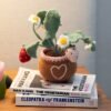 Strawberry Pot - Crochet Pot Plant Kit-Birthday Gifts
