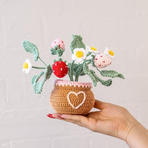 Strawberry Pot - Crochet Pot Plant Kit