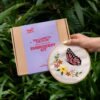 BLUSHING BUTTERFLY - Embroidery Kit