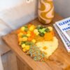 PUMPKIN PATCH - Moss Coaster Kit-Creative Birthday Gifts