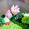 TULIP - Moss Coaster Kit
