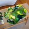 GREEN GARDEN - Latch Hook - Moss Coaster Bundle