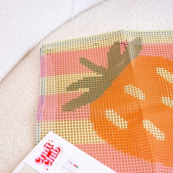 STRAWBERRY RIPE STRIPES - Latch Hook Cushion Kit unique