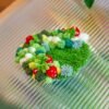 STRAWBERRY -  Moss Coaster Kit