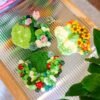 COTTAGE GARDEN - Moss Coaster Bundle