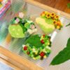 COTTAGE GARDEN - Moss Coaster Bundle