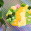 FUZZY - FLORAL - Moss Coaster Bundle