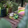 MEGA MOSSY - Rug - Coaster Bundle