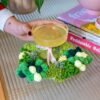 MEGA MOSSY - Rug - Coaster Bundle