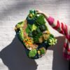 MEGA MOSSY - Rug - Coaster Bundle