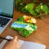 MOSSY MOMENTS - Coaster Bundle