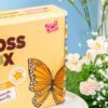 Monarch Butterfly - Moss Coaster Kit