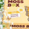 Monarch Butterfly - Moss Coaster Kit
