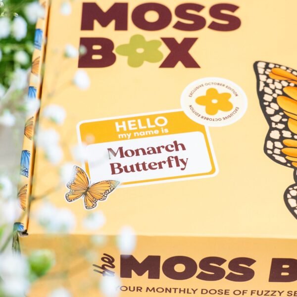 Monarch Butterfly - Moss Coaster Kit