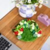 STRAWBERRY -  Moss Coaster Kit