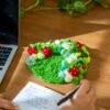 STRAWBERRY -  Moss Coaster Kit