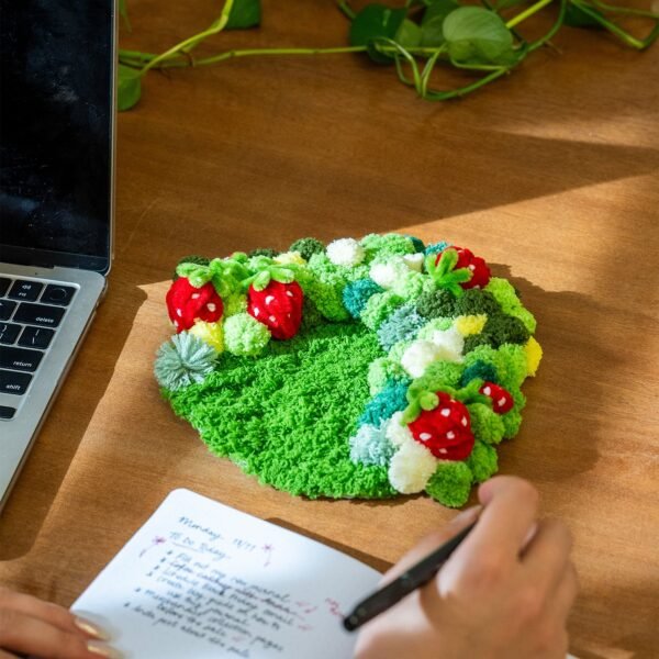 STRAWBERRY -  Moss Coaster Kit