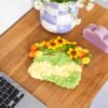 SUNFLOWER - Moss Coaster Kit