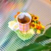 SUNFLOWER - Moss Coaster Kit