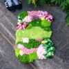 BUBBLEGUM GARDEN - Moss Rug Making Kit