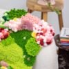 BUBBLEGUM GARDEN - Moss Rug Making Kit