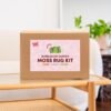 Bubblegum Meadow - Moss Kit Bundle-Handmade Tufting Embroidery Art
