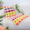 FRUIT PUNCH GINGHAM - Rug Making Kit-latch hook kits