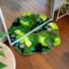MOSSY CAVERN - XL Mirror Rug Making Kit