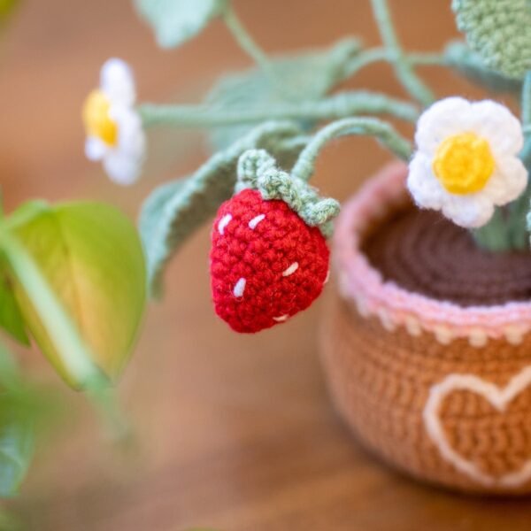 Strawberry Pot - Crochet Pot Plant Kit-Birthday Gifts