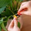 Strawberry Pot - Crochet Pot Plant Kit-Birthday Gifts