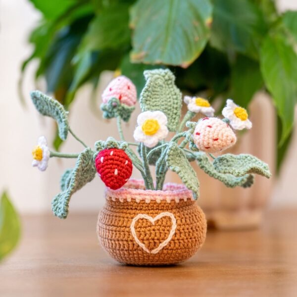 Strawberry Pot - Crochet Pot Plant Kit-Birthday Gifts