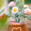 Strawberry Pot - Crochet Pot Plant Kit-Birthday Gifts