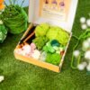 Monarch Butterfly - Moss Coaster Kit