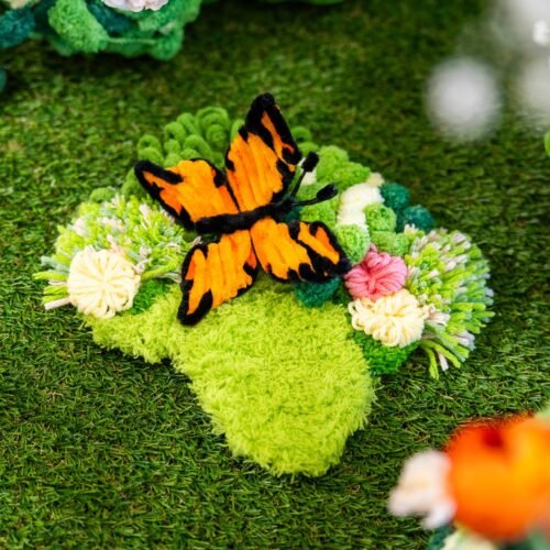 Monarch Butterfly - Moss Coaster Kit