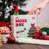 Twinkling Christmas Tree - Moss Coaster Kit
