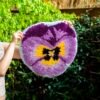 PRECIOUS PANSY - Latch Hook Rug Kit-latch hook kits