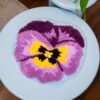 PRECIOUS PANSY - Latch Hook Rug Kit-latch hook kits