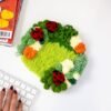 GARDEN FRIENDS - Moss Coaster Kit