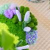 LAVENDER FIELD - Moss Coaster Kit