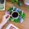 LAVENDER FIELD - Moss Coaster Kit