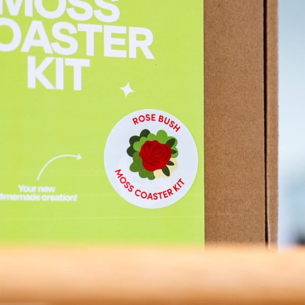 ROSE BUSH - Moss Coaster Kit