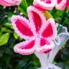 Saturday Florist - Pipecleaner Bundle