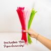 STARGAZER LILIES - Pipe Cleaner Bouquet Kit