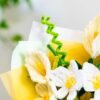 Blanc Blooms - Pipe Cleaner Bouquet Kit